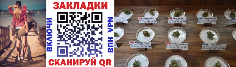 Где купить Дальнегорск Галлюциногенные грибы  А ПВП  Мефедрон  Конопля 