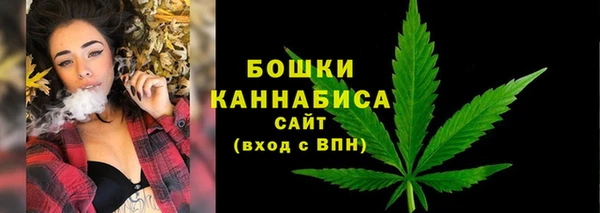 мдпв Струнино
