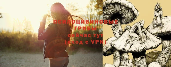 дживик Ступино